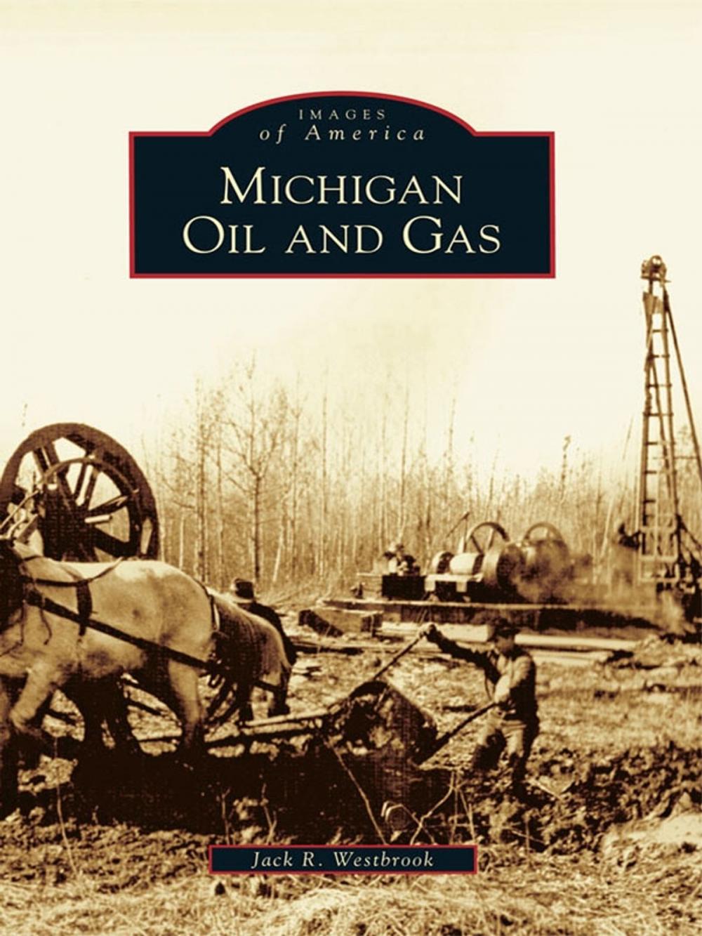 Big bigCover of Michigan Oil and Gas