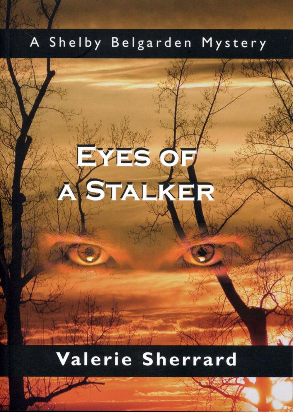 Big bigCover of Eyes of a Stalker