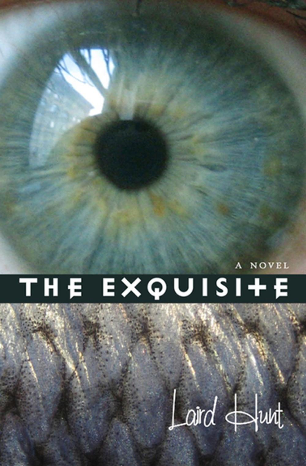 Big bigCover of The Exquisite