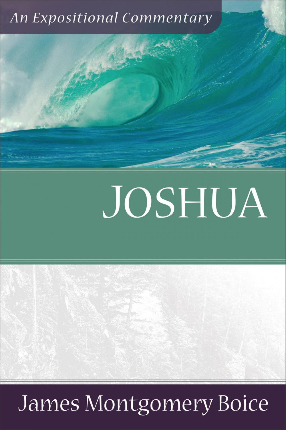 Big bigCover of Joshua