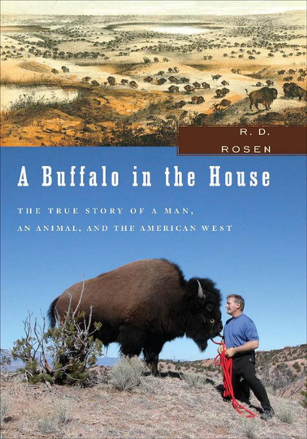 Big bigCover of A Buffalo in the House