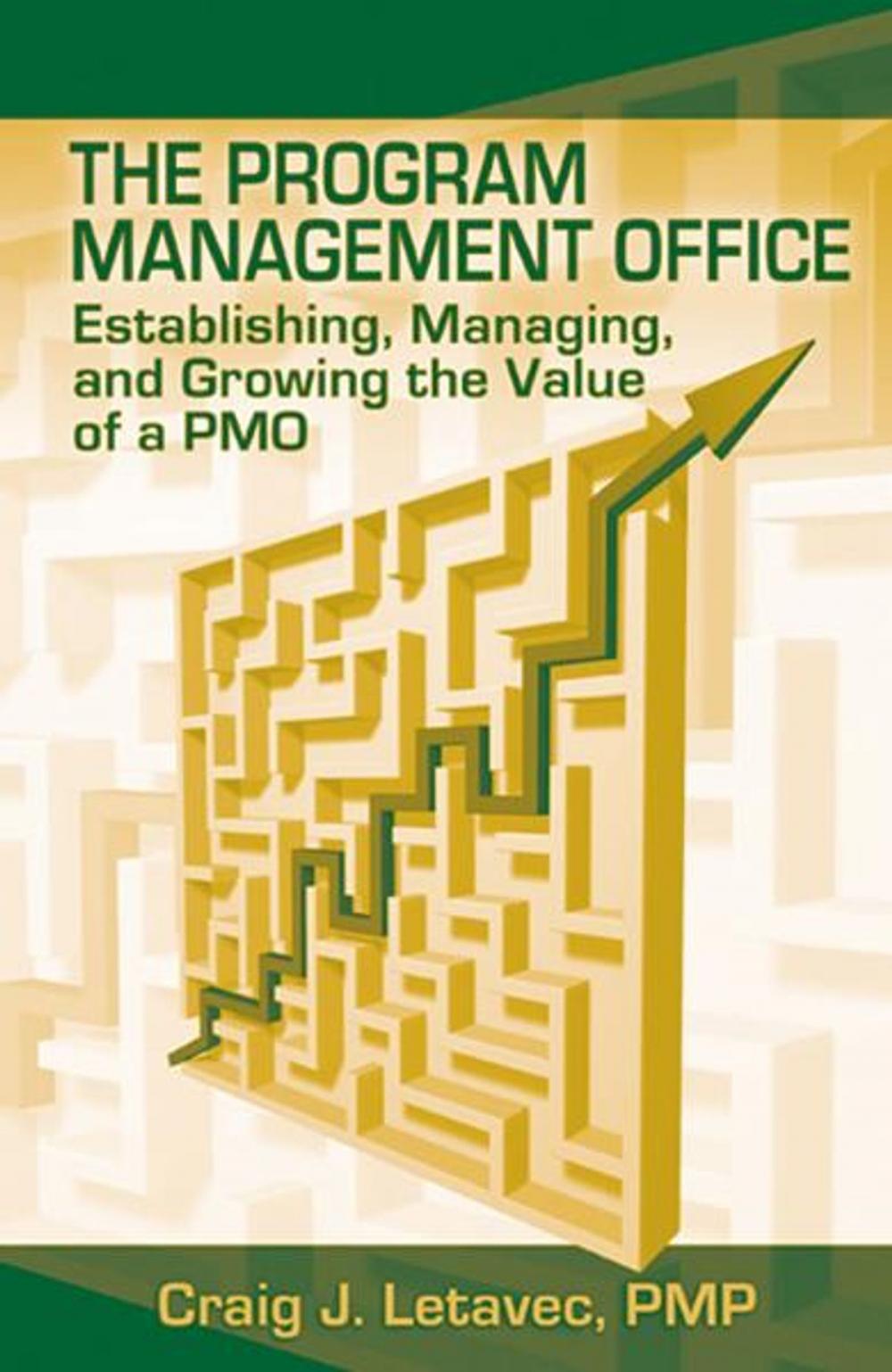 Big bigCover of The Program Management Office