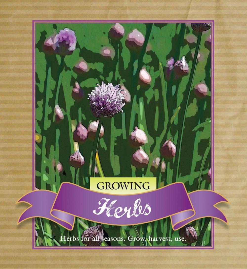 Big bigCover of Growing Herbs