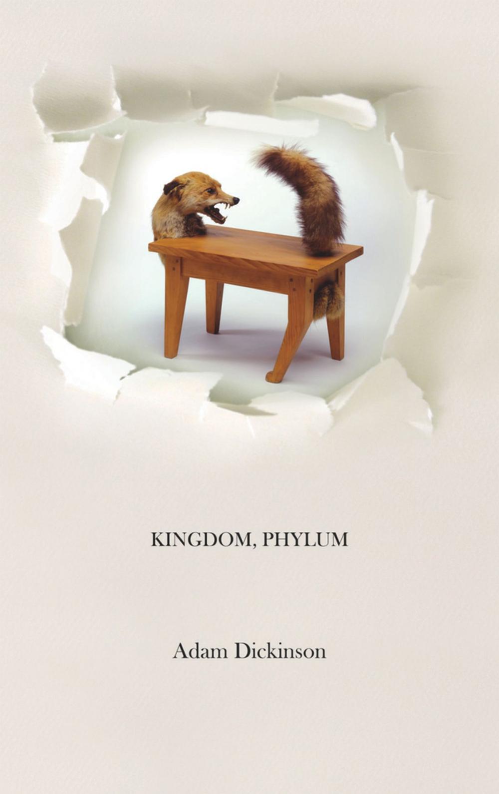 Big bigCover of Kingdom, Phylum