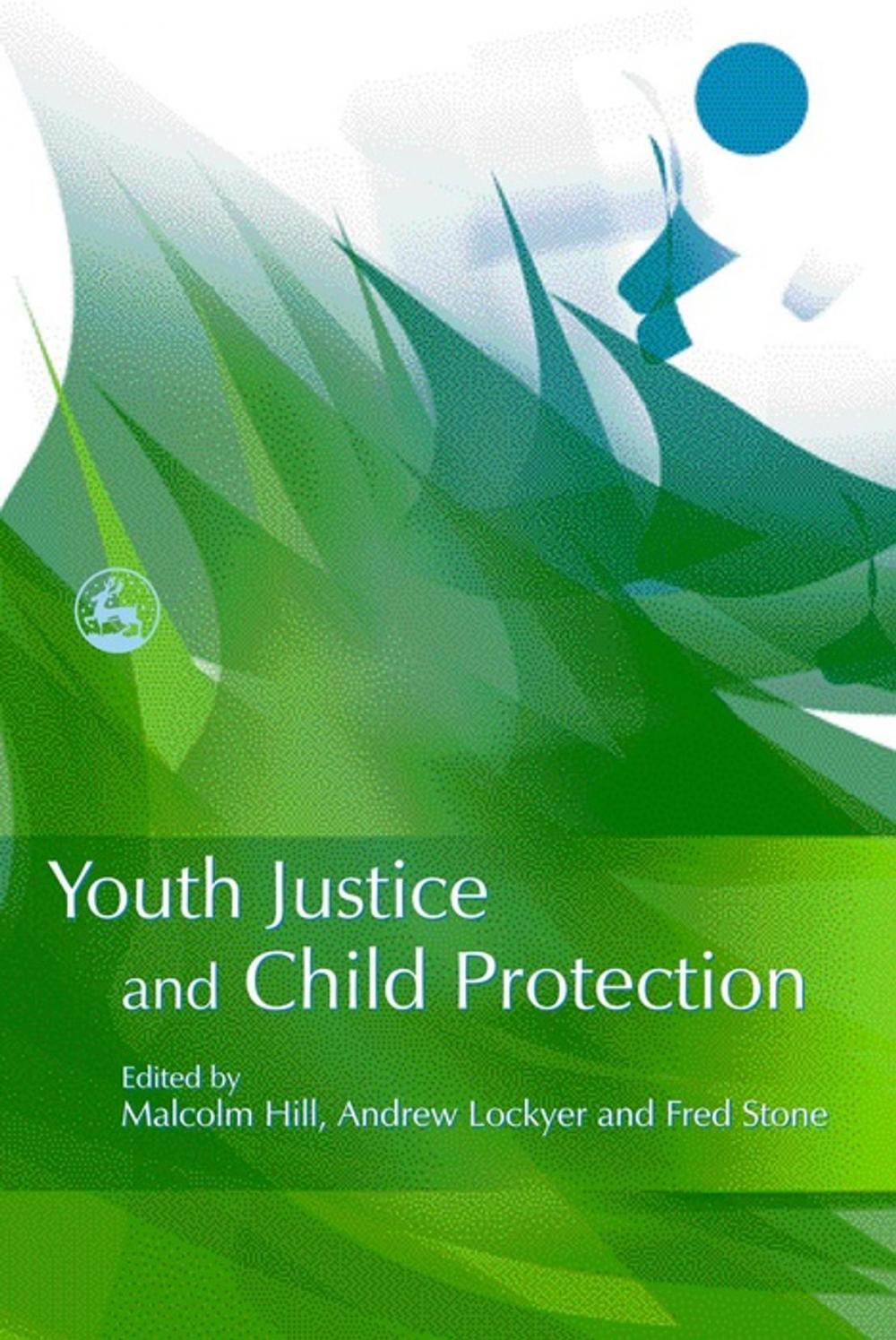 Big bigCover of Youth Justice and Child Protection