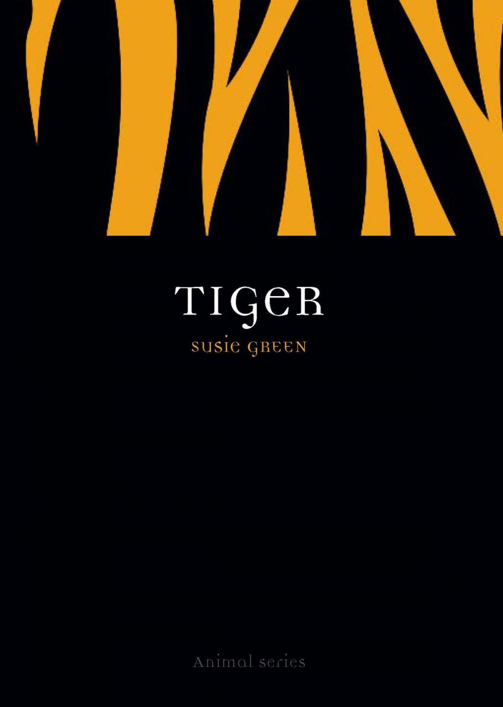 Big bigCover of Tiger