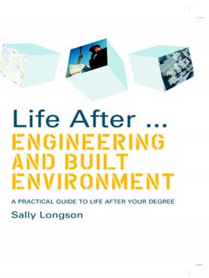 Cover of the book Life After...Engineering and Built Environment by David P. Levine