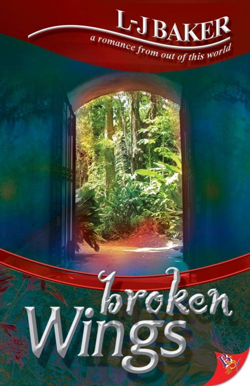 Cover of the book Broken Wings by LJ Baker, Bold Strokes Books, Inc.