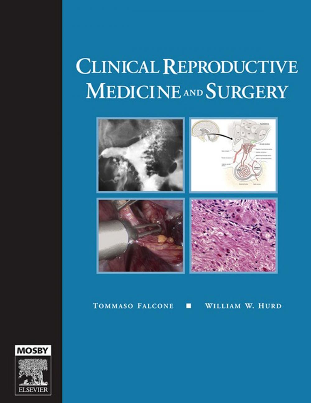 Big bigCover of Clinical Reproductive Medicine and Surgery E-Book