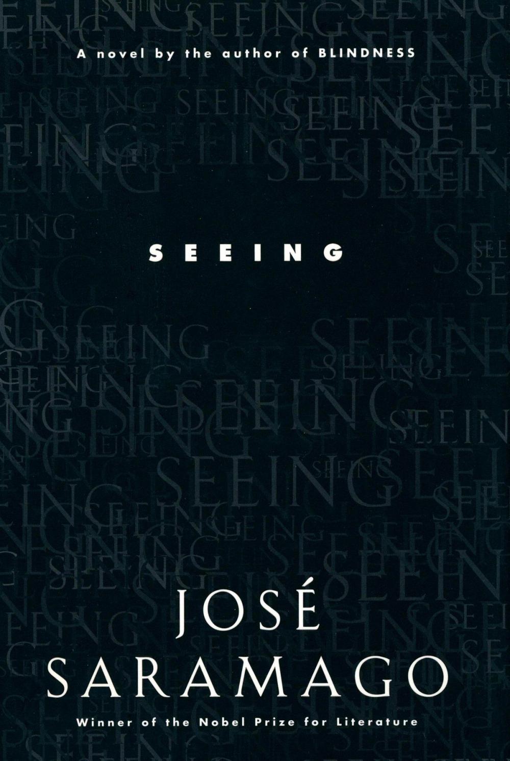 Big bigCover of Seeing