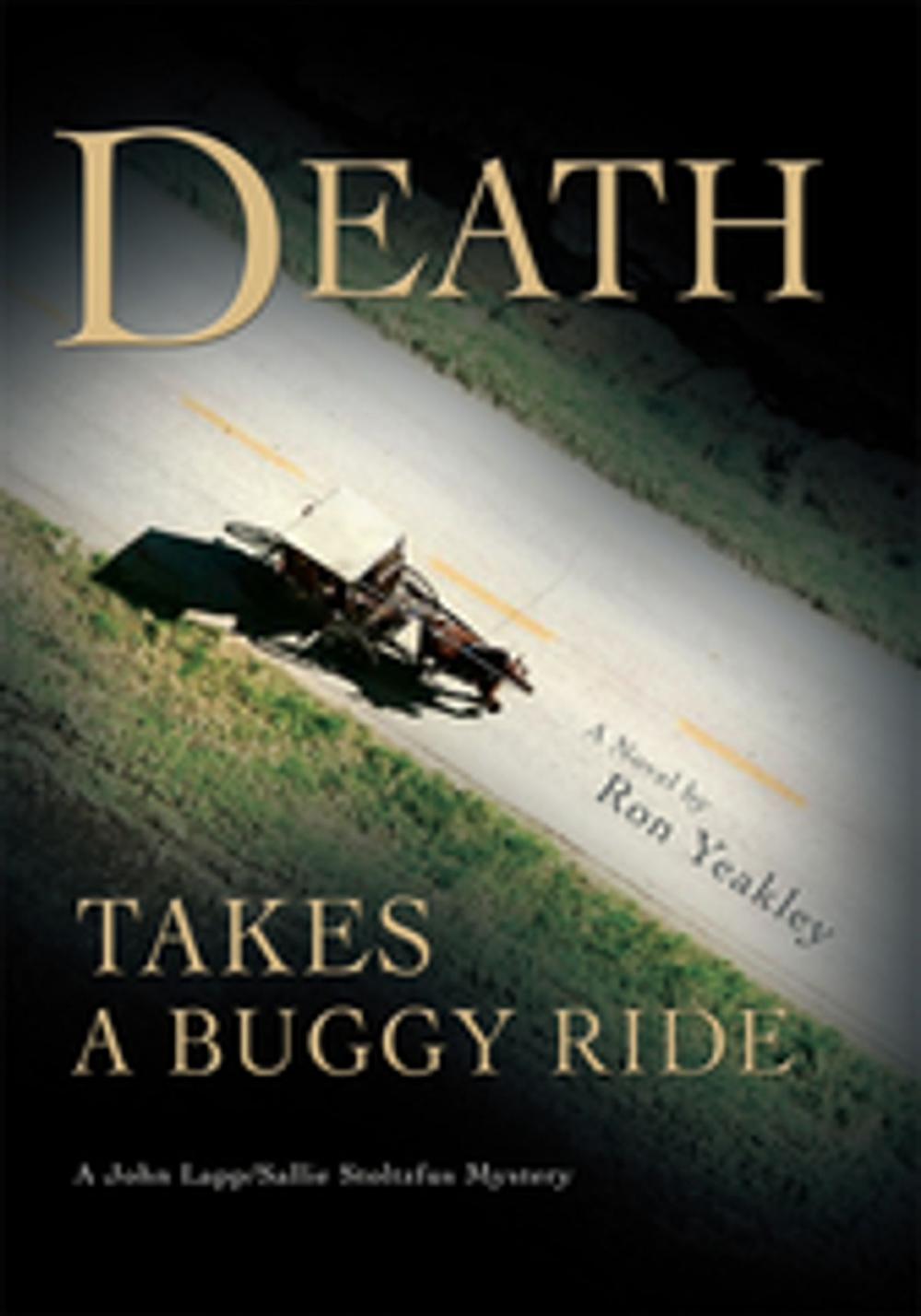 Big bigCover of Death Takes a Buggy Ride