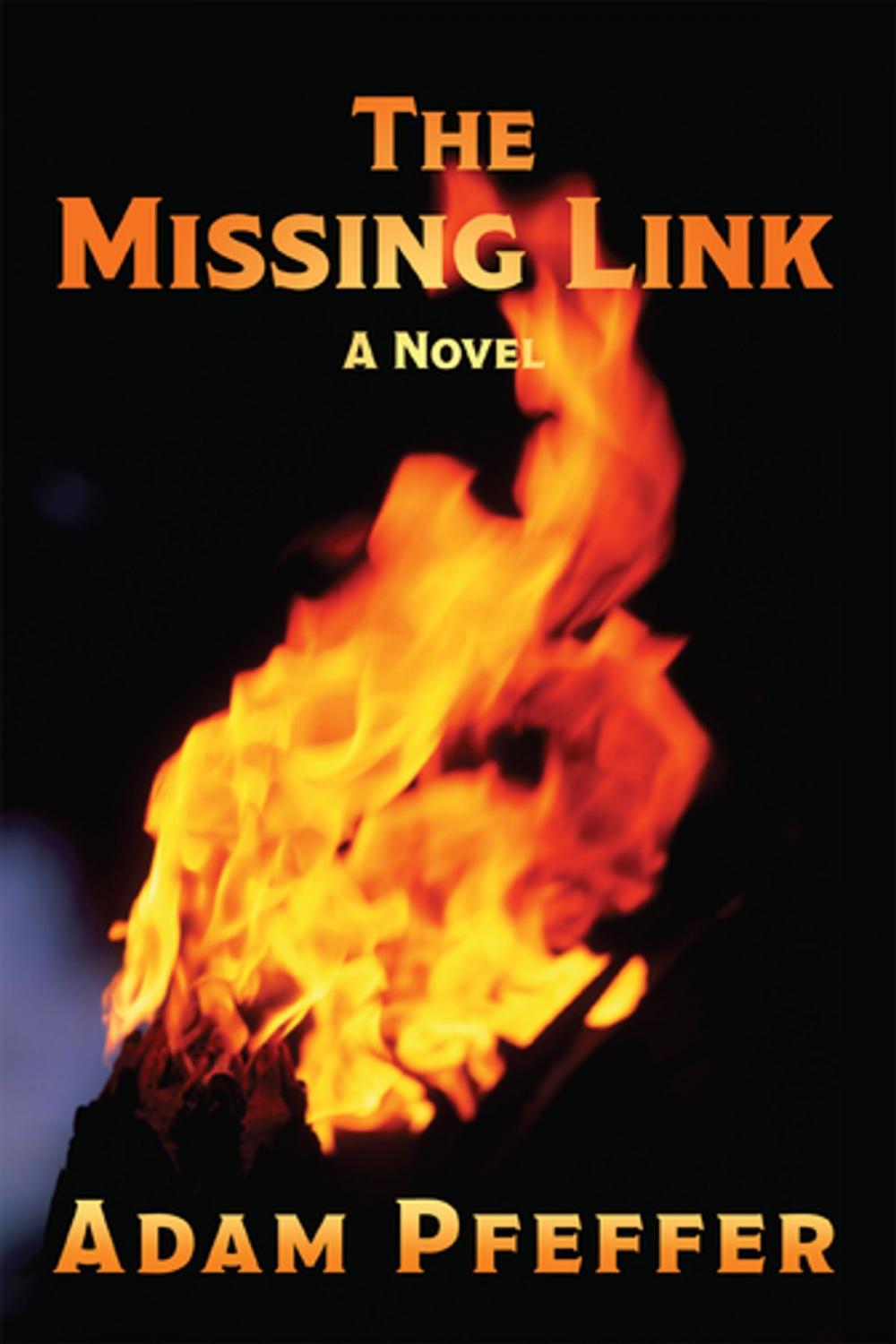 Big bigCover of The Missing Link