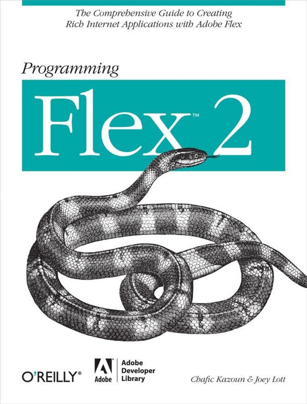 Big bigCover of Programming Flex 2