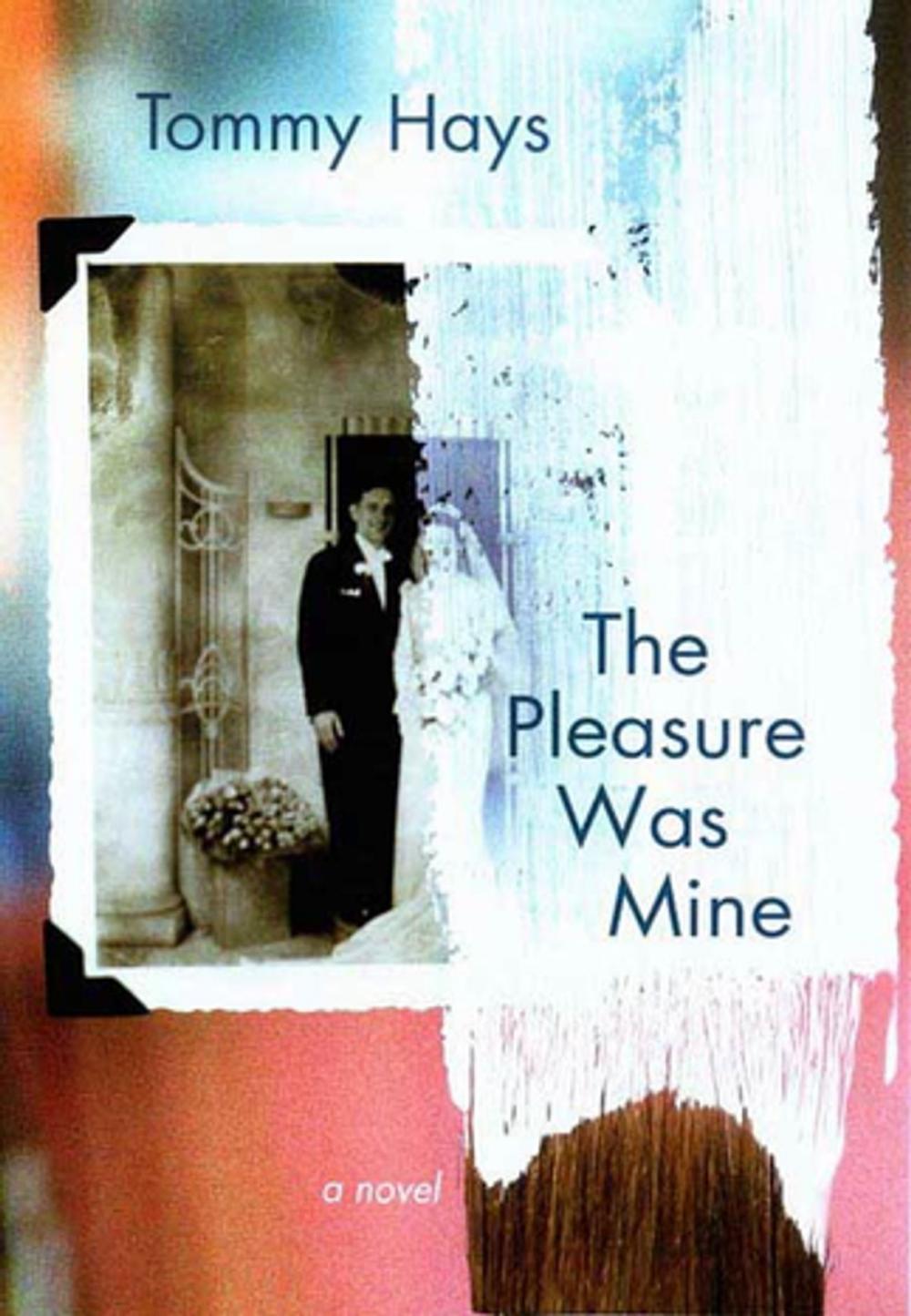 Big bigCover of The Pleasure Was Mine