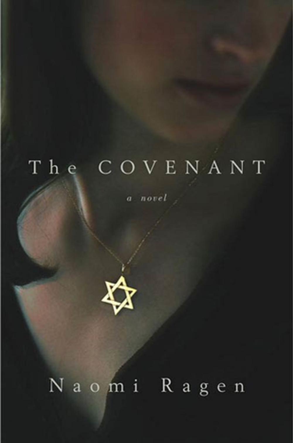 Big bigCover of The Covenant