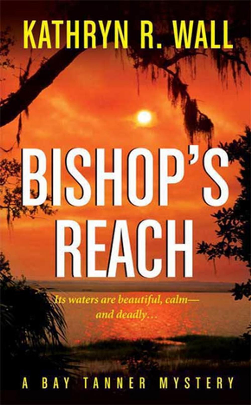 Big bigCover of Bishop's Reach