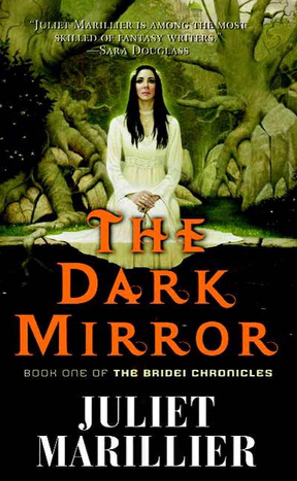 Big bigCover of The Dark Mirror