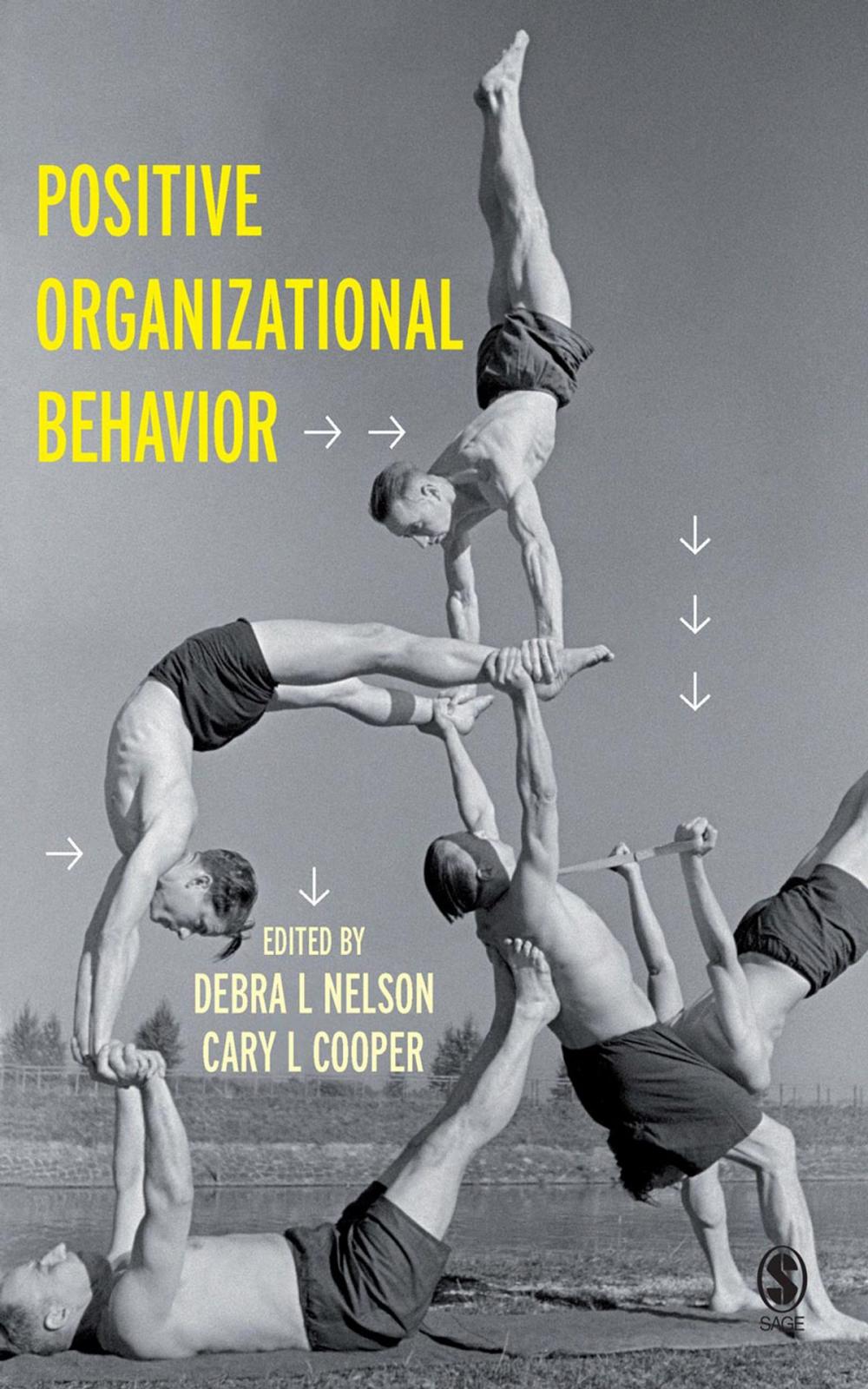 Big bigCover of Positive Organizational Behavior