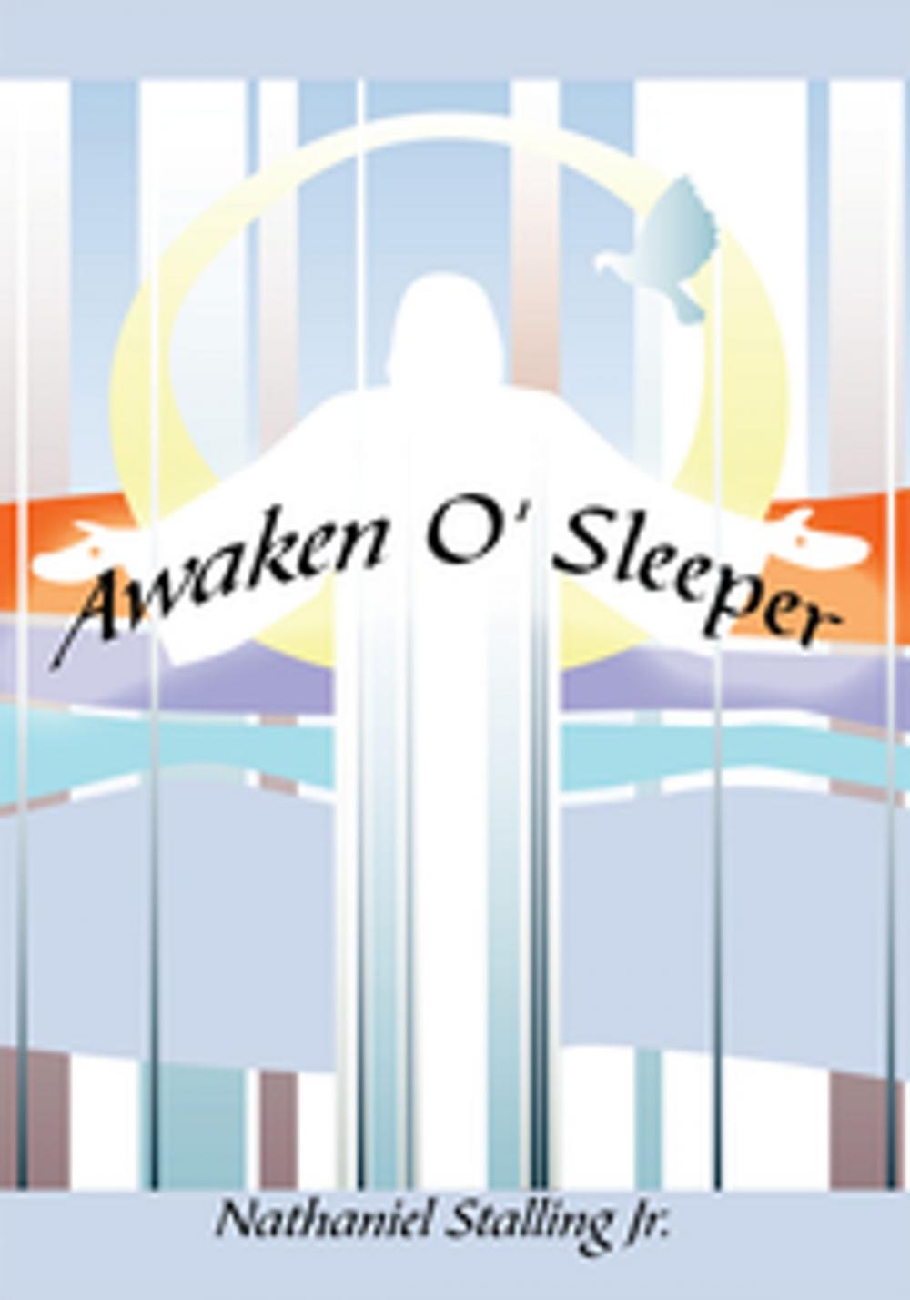 Big bigCover of Awaken O' Sleeper