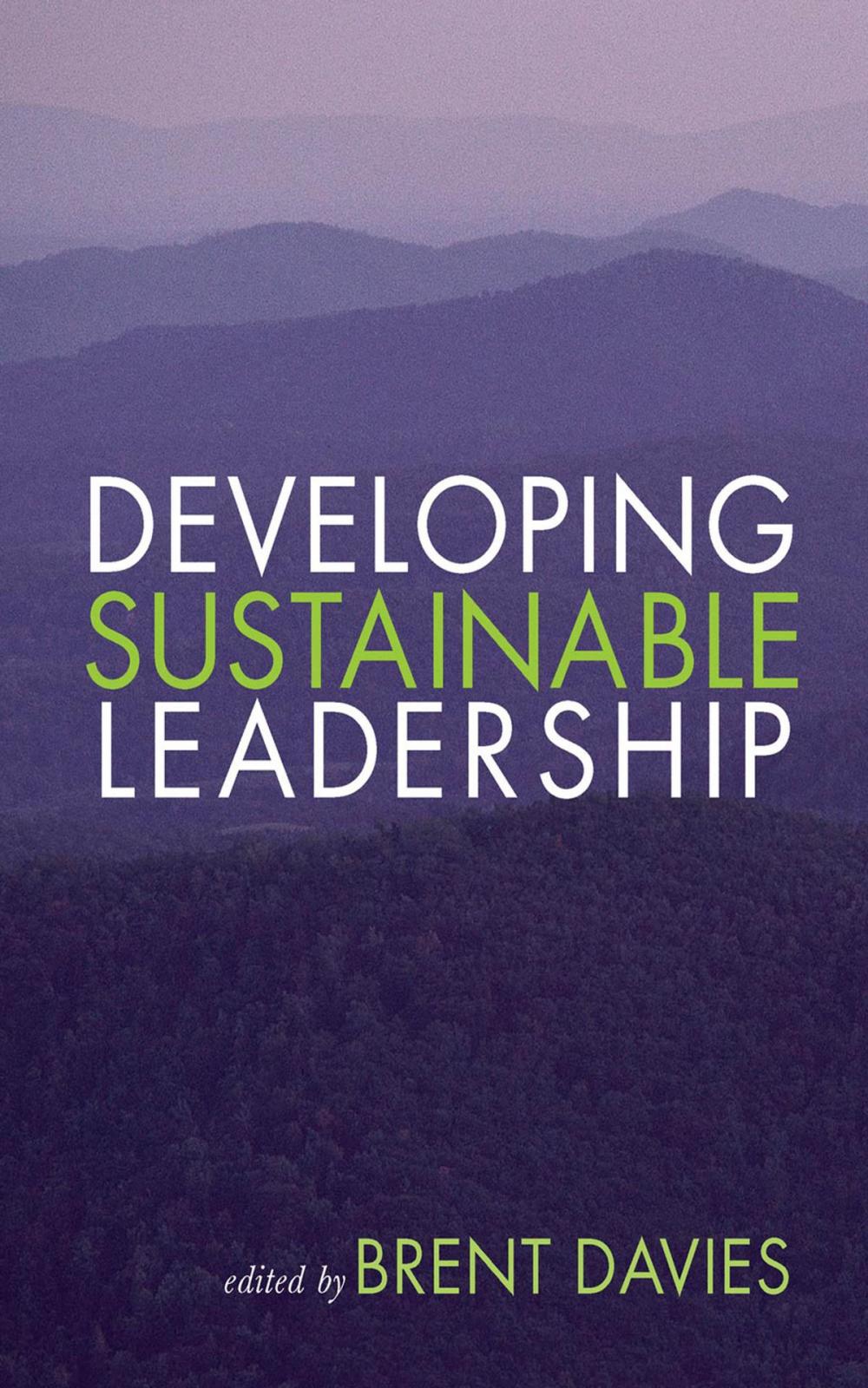 Big bigCover of Developing Sustainable Leadership