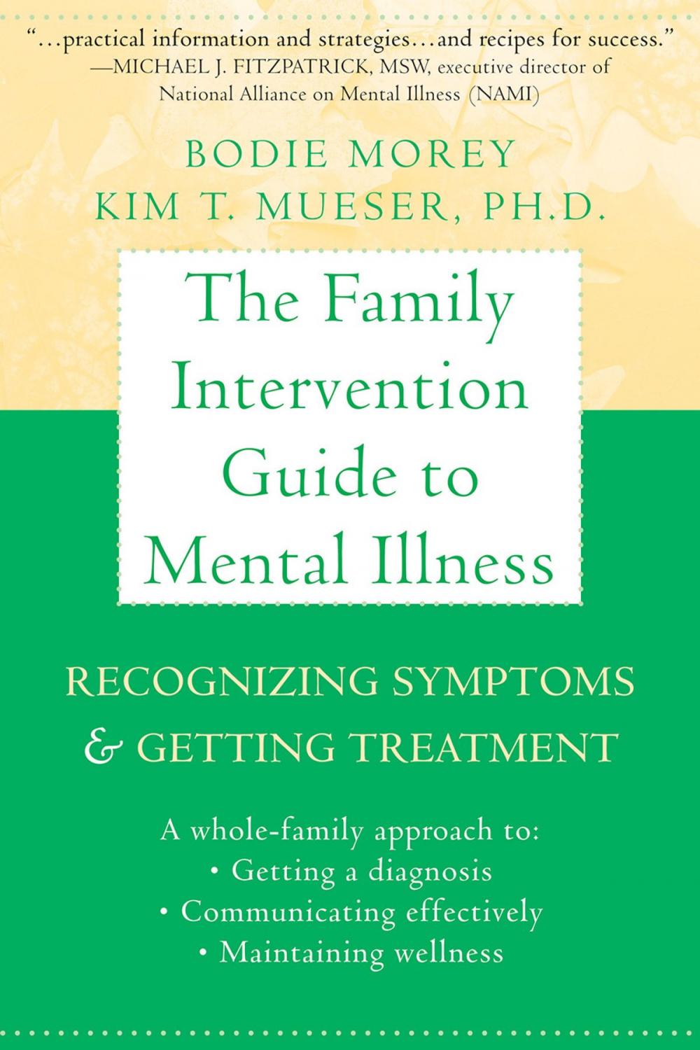 Big bigCover of The Family Intervention Guide to Mental Illness