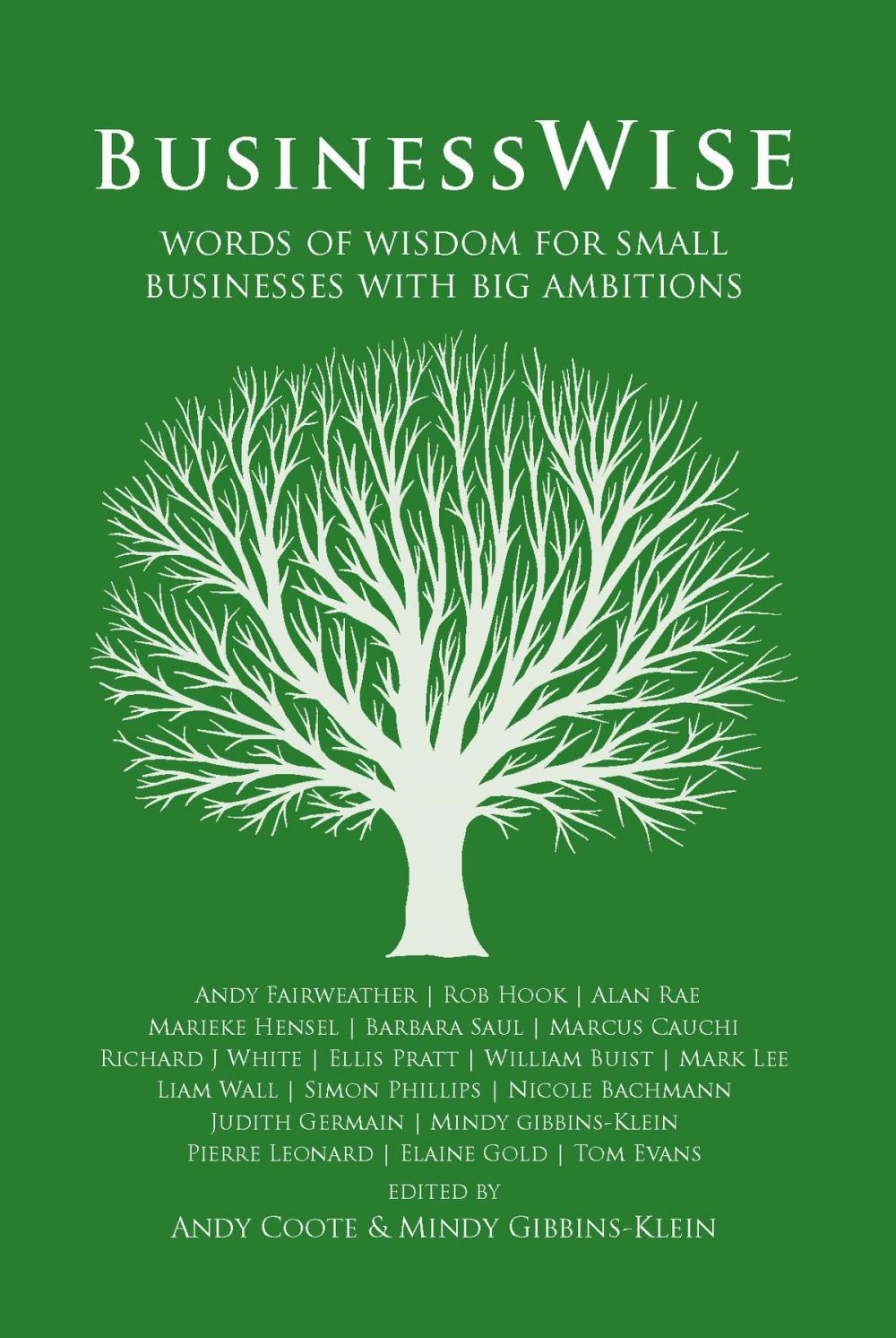 Big bigCover of BusinessWise: Words of Wisdom for Small Businesses with Big Ambitions