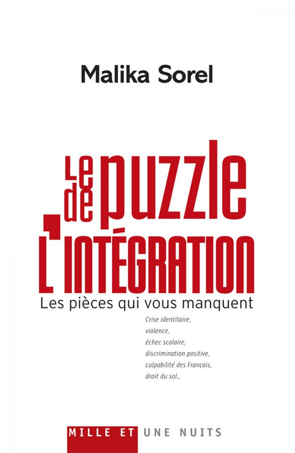 Big bigCover of Le Puzzle de l'intégration