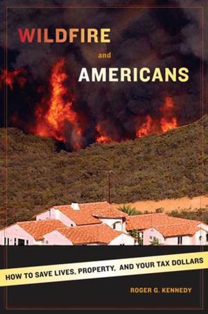 Cover of the book Wildfire and Americans by Katherine Taylor