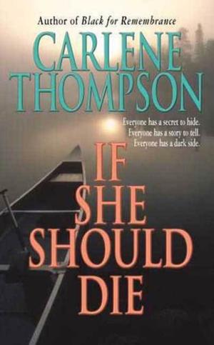 Cover of the book If She Should Die by C. B. McKenzie