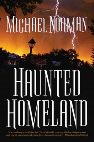 Cover of the book Haunted Homeland by Paul A. LaViolette, Ph.D.