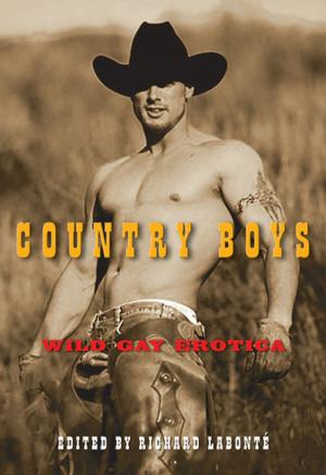 bigCover of the book Country Boys by 