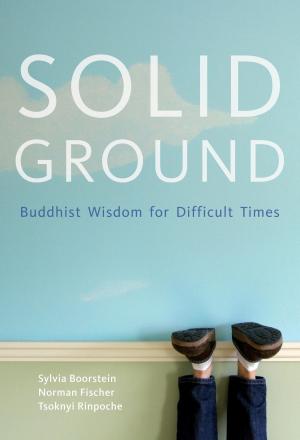 Cover of the book Solid Ground by 麥可．羅區格西(Geshe Michael Roach)