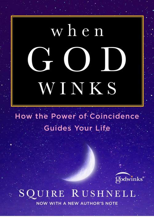 Cover of the book When God Winks by SQuire Rushnell, Howard Books