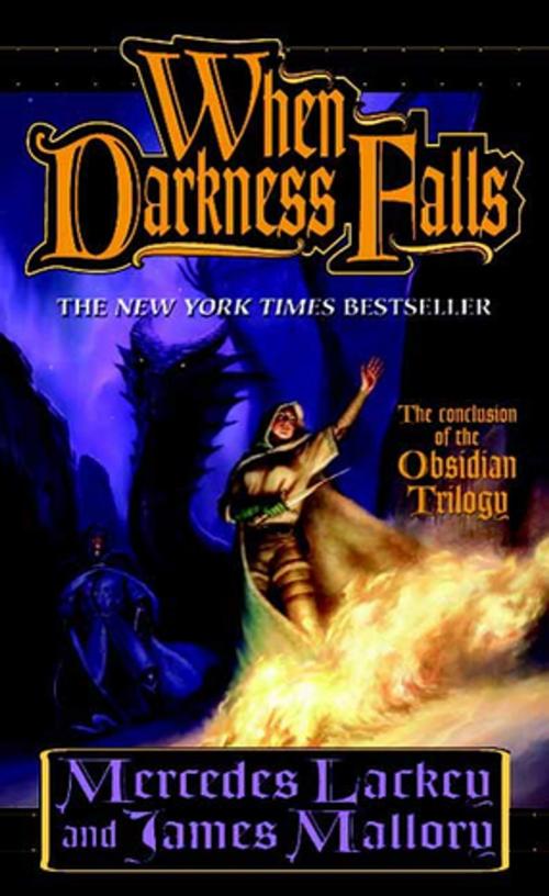 Cover of the book When Darkness Falls by Mercedes Lackey, James Mallory, Tom Doherty Associates