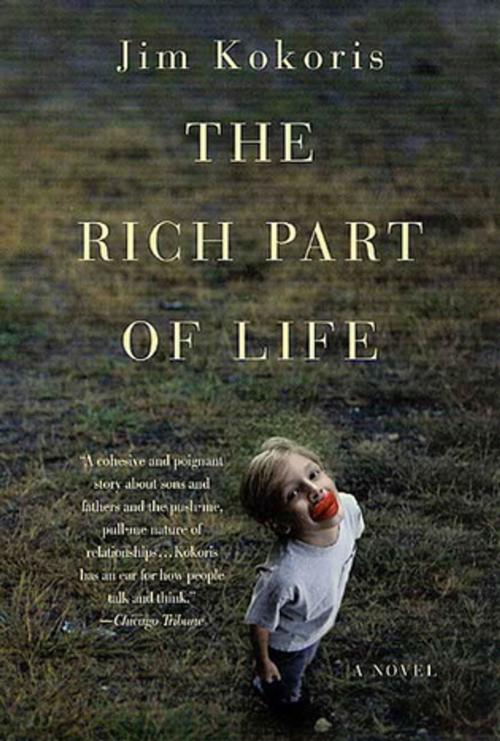 Cover of the book The Rich Part of Life by Jim Kokoris, St. Martin's Press