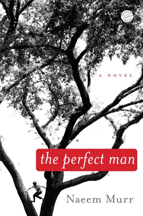 Cover of the book The Perfect Man by Naeem Murr, Random House Publishing Group