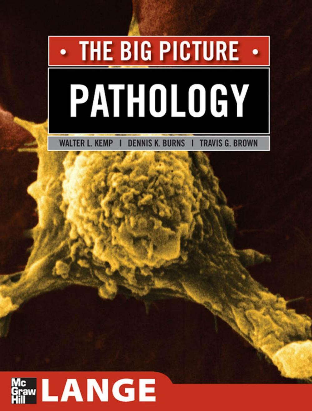 Big bigCover of Pathology: The Big Picture