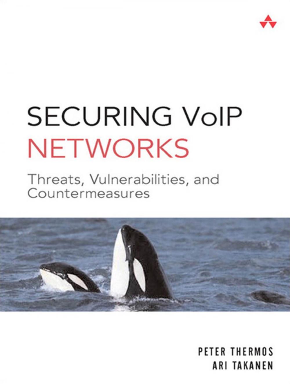 Big bigCover of Securing VoIP Networks