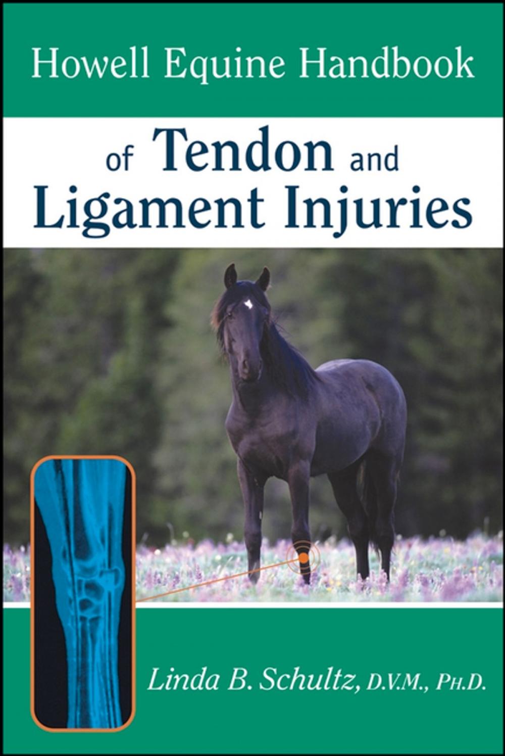 Big bigCover of Howell Equine Handbook of Tendon and Ligament Injuries