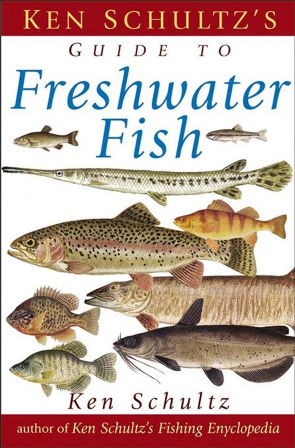 Big bigCover of Ken Schultz's Field Guide to Freshwater Fish