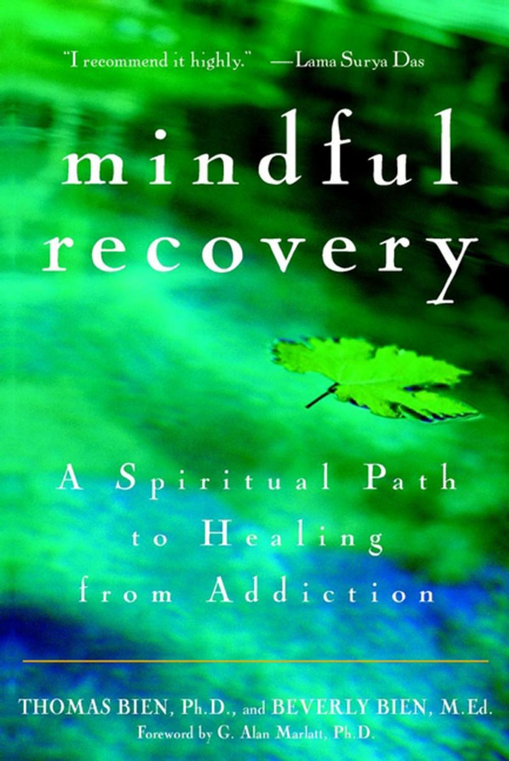 Big bigCover of Mindful Recovery