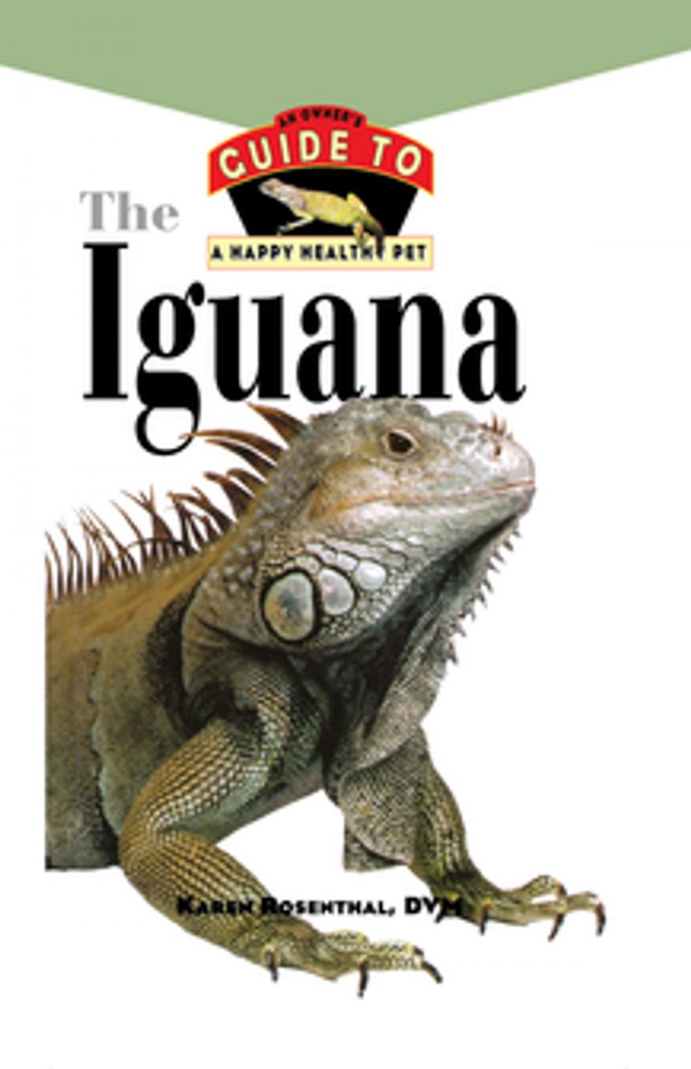 Big bigCover of Iguana