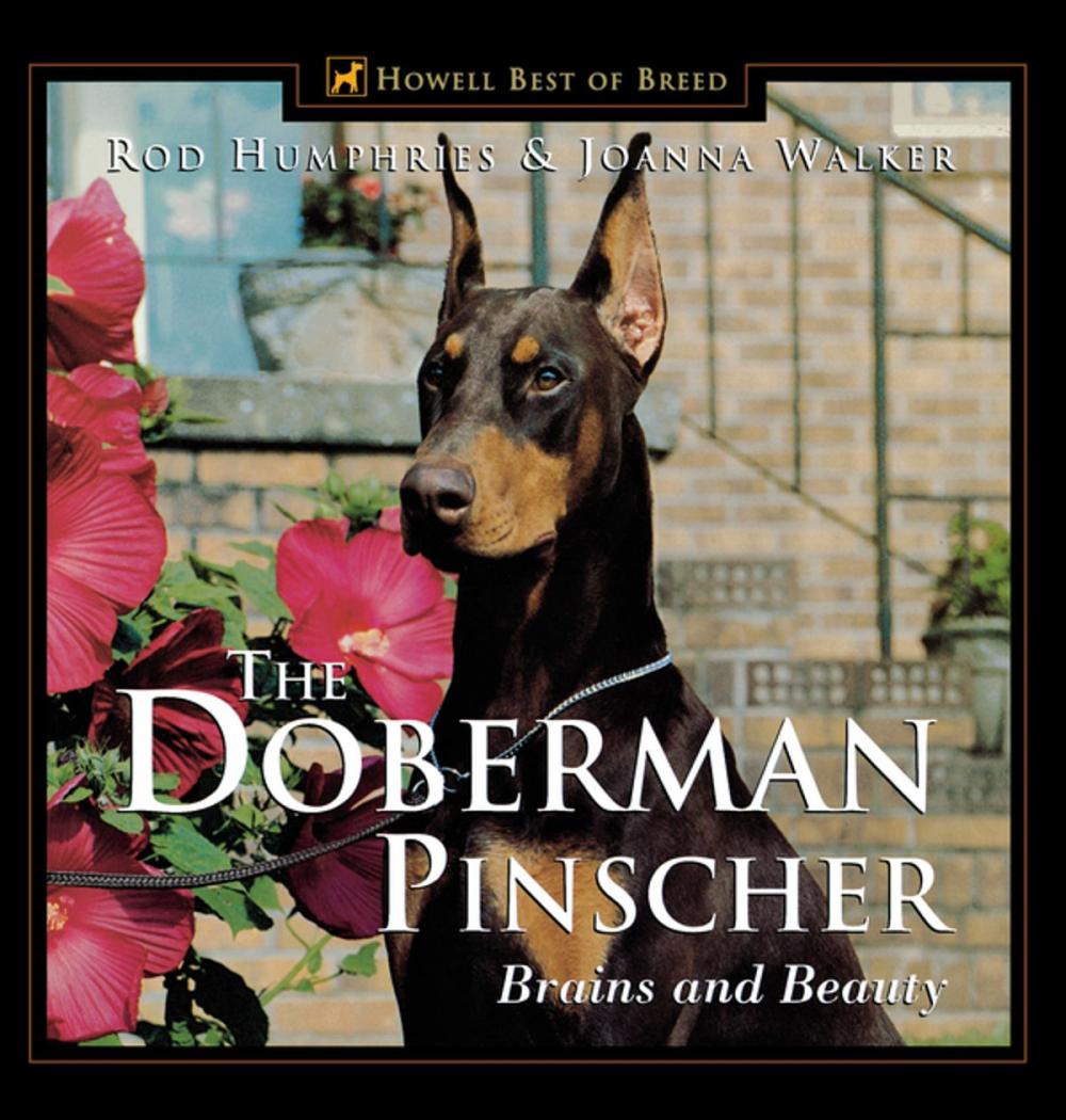 Big bigCover of The Doberman Pinscher