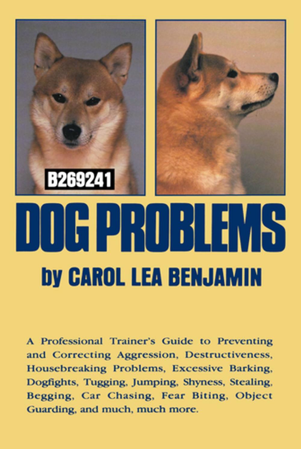 Big bigCover of Dog Problems