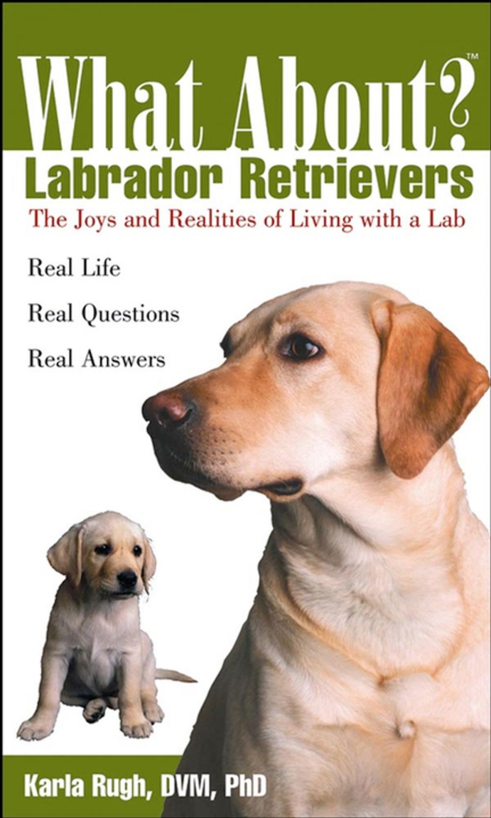 Big bigCover of What About Labrador Retrievers