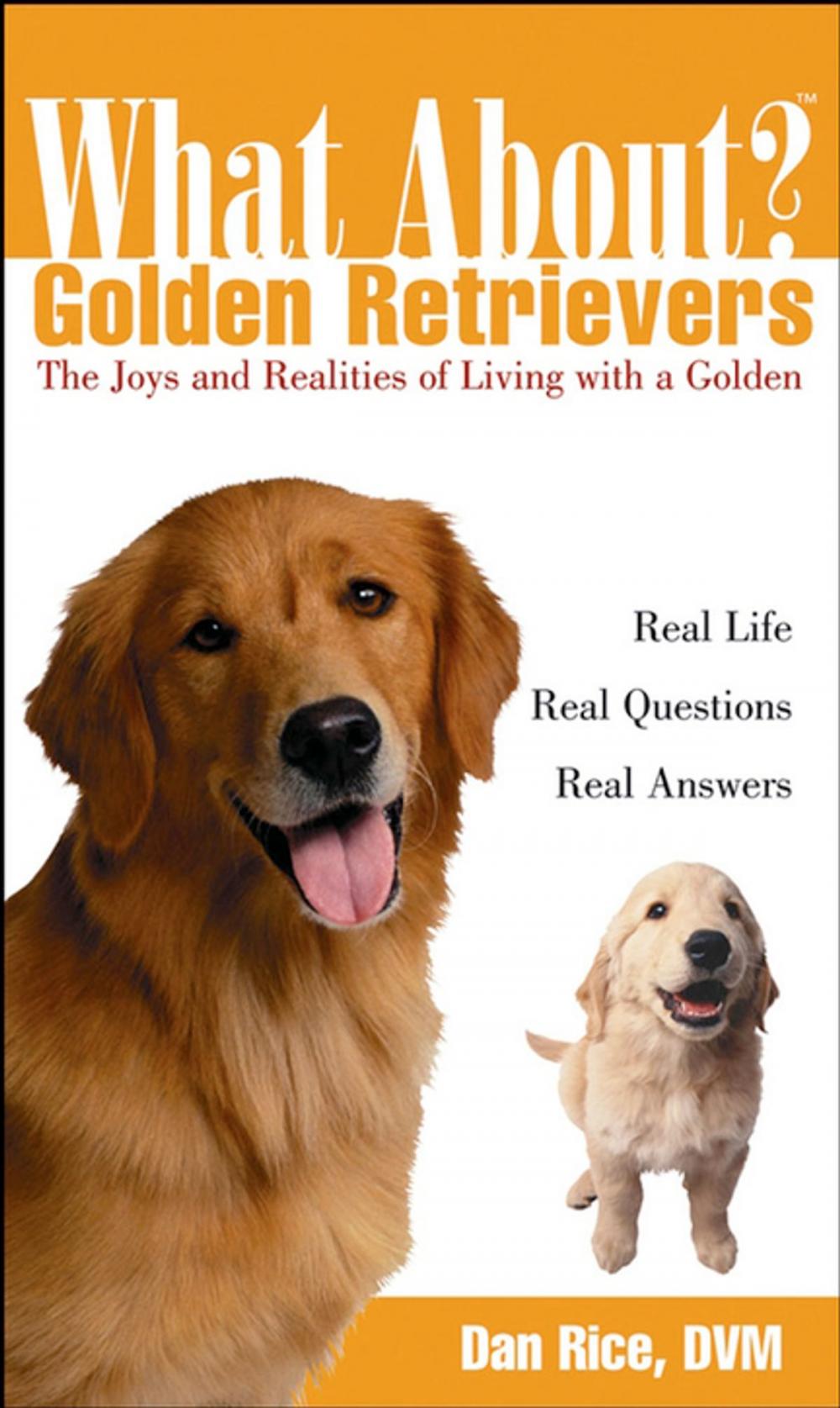 Big bigCover of What About Golden Retrievers