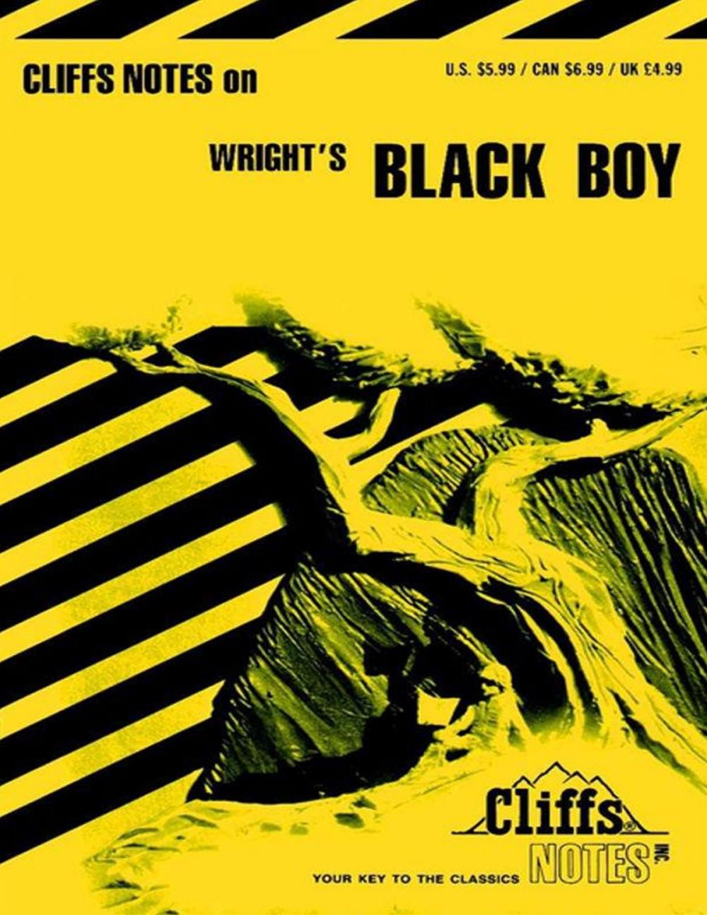 Big bigCover of CliffsNotes on Wright's Black Boy