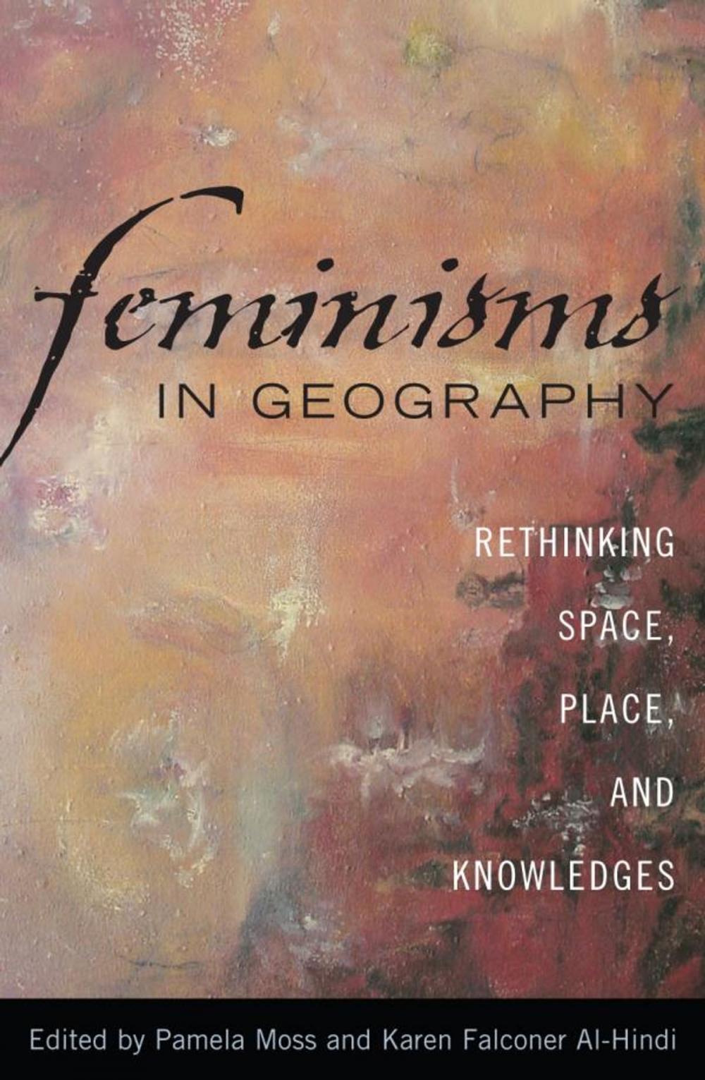 Big bigCover of Feminisms in Geography