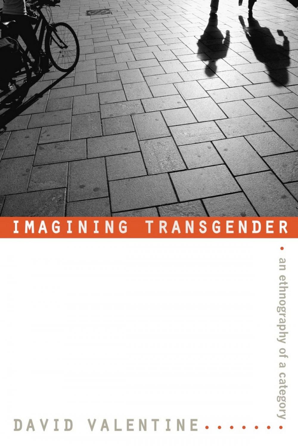 Big bigCover of Imagining Transgender