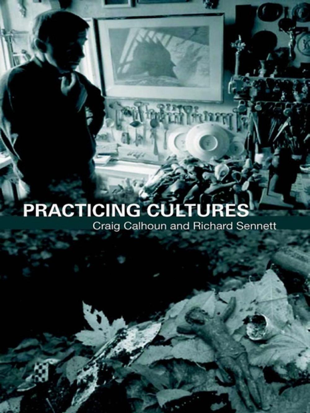 Big bigCover of Practicing Culture